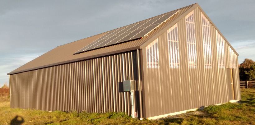 Shed1